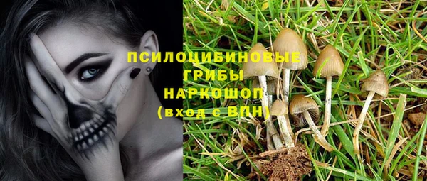 каннабис Надым